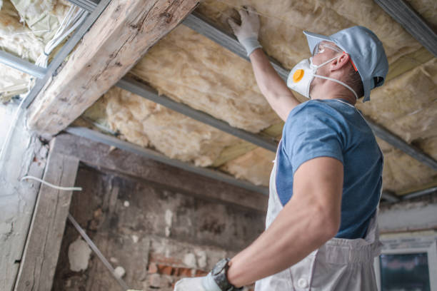 Best Insulation Installation Services in Macungie, PA